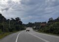 GAMBAR harimau yang dikatakan di Chemor dekat Ipoh yang tular dalam media sosial dipercayai merupakan hasil janaan AI.