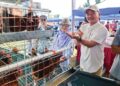 Industri penternakan ayam turut mendapat perhatian Ruslan Muharam untuk penglibatan orang muda.