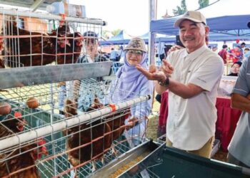 Industri penternakan ayam turut mendapat perhatian Ruslan Muharam untuk penglibatan orang muda.