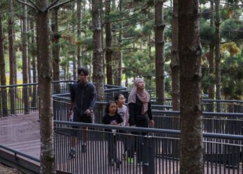 TAMAN  hijau perlu dirancang dan diurus dengan baik supaya benar-benar berfungsi mengurangkan pencemaran, mengurus air serta meningkatkan kualiti hidup penduduk.