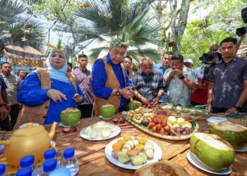 AHMAD Zahid Hamidi melawat reruai pada Majlis Perasmian Laman Usahawan Desa MAHA 2026 di Laman Tiba 1 MAEPS di Serdang, semalam. – UTUSAN/ ISKANDAR ISHAK