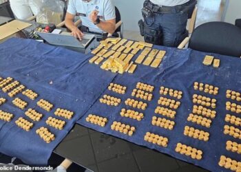 HARTA karun termasuk jongkong emas ditemukan oleh seorang pekerja. - Polis Dendermonde