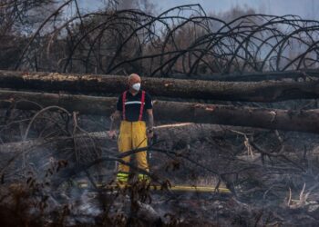 SEORANG anggota bomba Belgium meninjau kawasan yang terbakar semasa operasi memadam kebakaran hutan di kawasan High Fens, berhampiran Sourbodt.- AFP