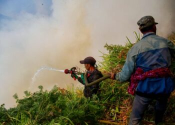 ANGGOTA bomba bertungkus-lumus memadam kebakaran di Taman Nasional Bromo Tengger Semeru di Jawa Timur, Indonesia.-AFP