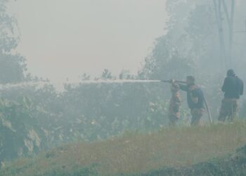 Kebakaran hutan Shah Alam