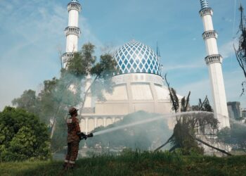 Hutan terbakar