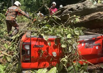 KEADAAN Ford Raptor yang dihempap pokok tumbang di Jalan Lama Kuala Lumpur menghala ke pintu gerbang Janda Baik di Bentong, Pahang.