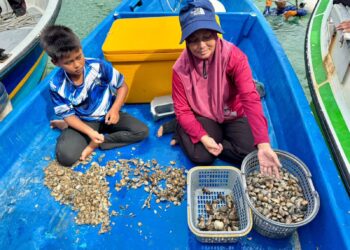 ROBIHA Hamid dibantu anaknya mengasingkan siput gayam yang diperolehi hasil menyelam di laut di Pulau Tuba, Langkawi. - UTUSAN/SHAHIR NOORDIN