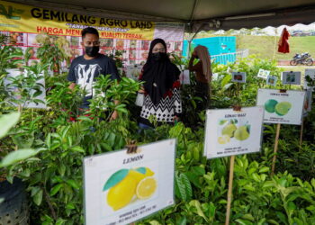 PENYERTAAN Nafas dalam MAHA 2026 menggabungkan elemen produk, promosi, aktiviti interaktif, perkongsian ilmu, teknologi serta kerjasama strategik bagi memberikan pengalaman yang lebih dekat dan menyeluruh kepada pengunjung. - GAMBAR HIASAN