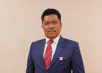 BADRUL HISHAM