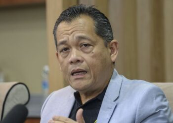 Hamidin Mohd Amin