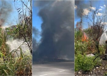 Hutan terbakar