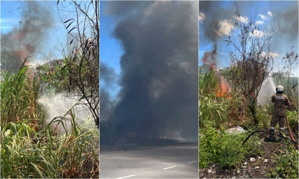 Hutan terbakar