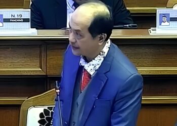 TENGKU ZULPURI SHAH RAJA PUJI