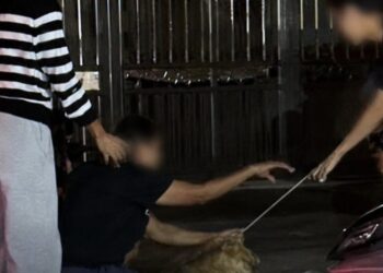 Dakwa bunuh anjing