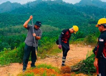MOHD. Yusainy Md. Yusop (kiri) turut menyertai operasi memusnahkan pokok kelapa sawit yang ditanam tanpa kebenaran di HSK Triang, Jelebu, hari ini.-FACEBOOK JABATAN PERHUTANAN NEGERI SEMBILAN.