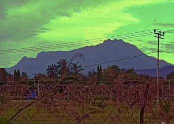 Gunung Kinabalu diselubungi jerebu ketika gambar dirakam jam 3.50 petang ini dari Tamparuli. - HARDY JOE