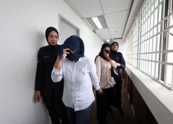 DUA wanita mengaku tidak bersalah di Mahkamah Majistret Ipoh hari ini atas tiga pertuduhan menipu seorang pesara berkaitan pembayaran tunggakan cukai Lembaga Hasil Dalam Negeri (LHDN) yang tidak wujud membabitkan kerugian sebanyak RM119,196, antara April hingga Jun lalu.