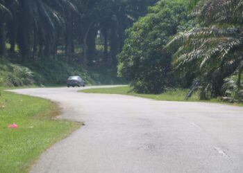 KEADAAN jalan di Jalan Jerantut Maran dari Sungai Bangkong-Kampung Kuala Sentol Maran di Maran, Pahang yang bengkang bengkok perlu diberi perhatian serius oleh pihak berwajib. – MINGGUAN/SALEHUDIN MAT RASAD