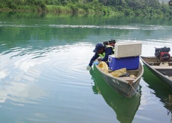 PIHAK berkuasa membuat pemeriksaan terhadap air Sungai Perak dan mengesahkan ia selamat digunakan.