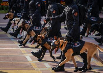 BEBERAPA ekor anjing Unit K9 Polis Diraja Malaysia (PDRM) turut mencuit hati pengunjung pada sambutan Hari Kebangsaan 2026. -UTUSAN/IQBAL ROSLI