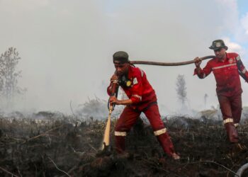 ANGGOTA bomba memadamkan kebakaran hutan di Pulang Pisau, Kalimantan. - AFP