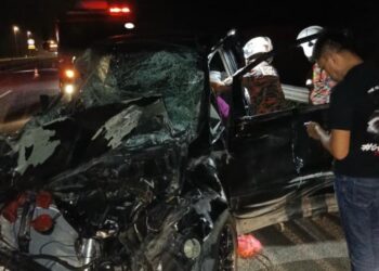 PASUKAN bomba dan penyelamat membantu mengeluarkan mangsa daripada kenderaan selepas merempuh sekumpulan gajah di Kilometer 274.6 Lebuhraya Pantai Timur 2 (LPT2), berhampiran susur keluar Plaza Tol Cheneh, Kemaman, Terengganu. - IHSAN BOMBA