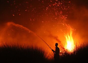 SEORANG penduduk cuba memadamkan kebakaran hutan di Palangka Raya, Kalimantan. - AFP