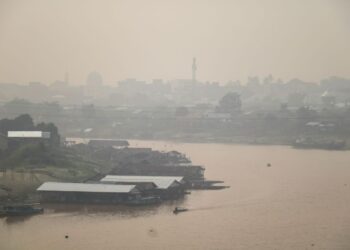JEREBU akibat kebakaran hutan menyelubungi kawasan penempatan di tebing Sungai Kahayan di Palangkaraya, Kalimantan Tengah. - AFP