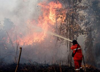 SEORANG anggota bomba memadamkan kebakaran di Rimba Panjang, Riau. - AFP