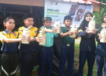 Sekumpulan murid menunjukkan polibeg  cendawan tiram yang mereka usahakan di Sekolah Kebangsaan Jeransang, Lipis, Pahang.