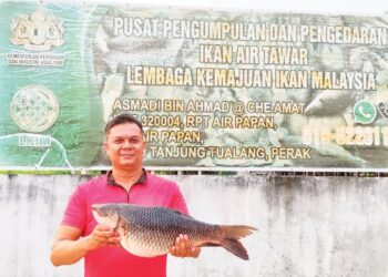 SEBAGAI pemborong ikan air tawar, Asmadi membantu nelayan dan pemancing ikan warga negeri menjana pendapatan sehingga mencecah empat angka sebulan.