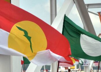 PAS dan UMNO perlu menyatakan lebih awal bentuk kerajaan yang bakal dibentuk sekiranya mencapai kesepakatan kerjasama pada Pilihan Raya Umum Ke-16.