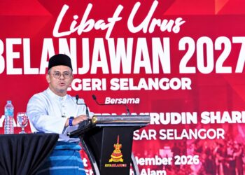 Sokongan kesihatan