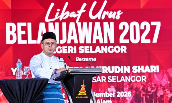 Sokongan kesihatan