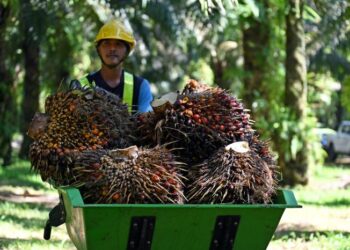 KOMODITI kekal penting kepada ekonomi Malaysia tetapi kebergantungan berlebihan boleh meningkatkan risiko apabila harga dunia berubah.