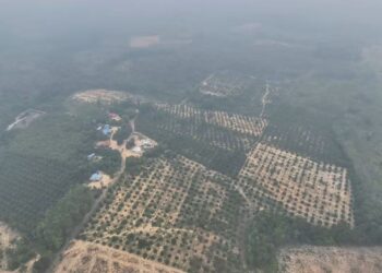 ANTARA kawasan Hutan Simpan Kekal Tasik Bera, Pahang yang diteroka secara haram.