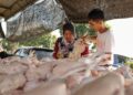 HARGA makanan perlu ditangani melalui rantaian bekalan yang lebih cekap dan telus, bukan sekadar menyalahkan ‘orang tengah’.