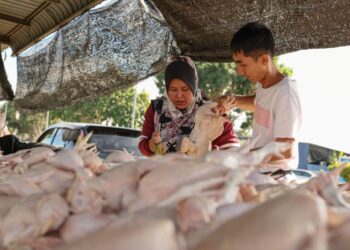 HARGA makanan perlu ditangani melalui rantaian bekalan yang lebih cekap dan telus, bukan sekadar menyalahkan ‘orang tengah’.