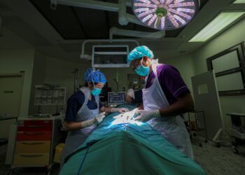 SISTEM kesihatan negara tidak dihidupkan oleh kabel internet atau perisian semata-mata, tetapi ia digerakkan oleh pengorbanan para doktor, jururawat, serta petugas sokongan.
