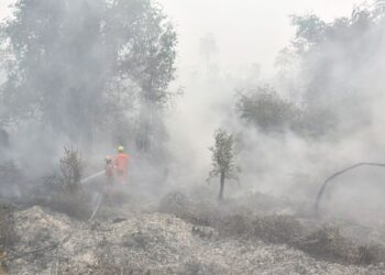 ANGGOTA bomba padam kebakaran hutan di Banjar, Kalimantan. - AFP