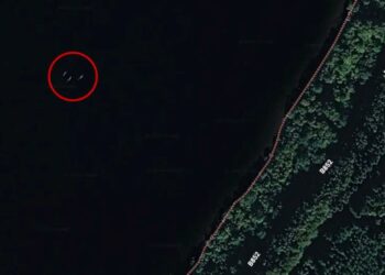 KELIBAT misteri dirakam aplikasi Google Maps. - Google Maps