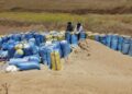 PETANI mengisi guni-guni dengan hasil gandum yang dituai di sebuah ladang di wilayah Zaer di barat laut Maghribi.- AFP