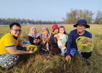 ORANG ramai mencari lokan di kawasan tanah bencah dan beting pasir ketika air surut di Kampung Pengkalan Gelap, Setiu, Terengganu. 
– UTUSAN/WAN ZURATIKAH IFFAH WAN ZULKIFLI