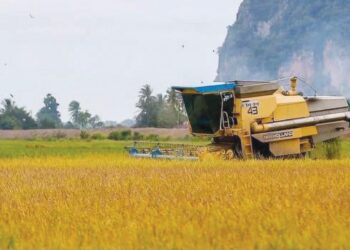 KERJA-kerja menuai padi sudah dilakukan di sesetengah sawah yang berada dalam Kawasan MADA di Kedah.