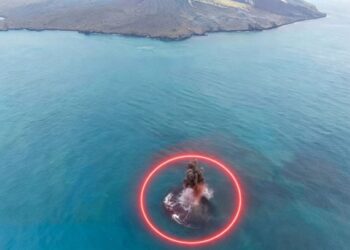 PULAU baharu terbentuk selepas letusan Anak Krakatua. - Ist
