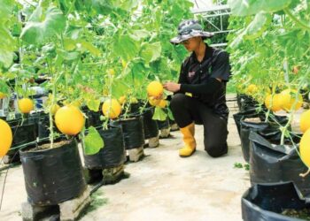 INSTITUSI penyelidikan perlu berubah supaya menghasilkan R&D yang akhirnya membantu menyelesaikan masalah masyarakat. – GAMBAR HIASAN