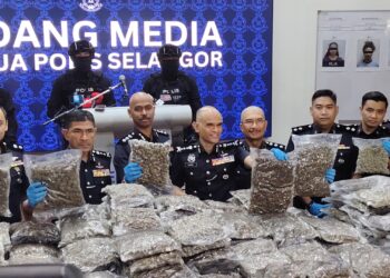 Bunga ganja KLIA