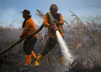 POLIS diminta mengambil tindakan undang-undang terhadap syarikat terlibat dengan kebakaran hutan di Indonesia. - AFP