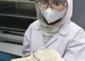 Sel Stem yang dibiakkan dalam makmal Jabatan Farmasi, Universiti Malaya.